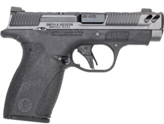 PC Bodyguard2.0 380 3.1" NTS Gry/Blk 1/10 1/12rd