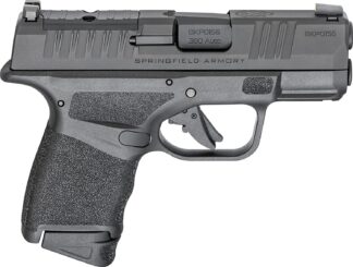 Hellcat Micro Compact 380ACP 3" Blk 1/11 1/13