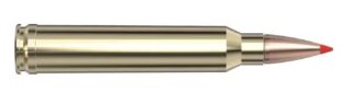 AWT TIPPED 300 Win Mag SST 165gr 20/Bx