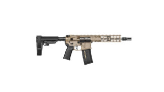 Model 1  9" 300 FDE Pist FDE