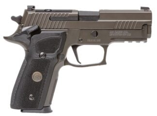 P229 Legion 9MM 3.9" Grey/Blk 10rd