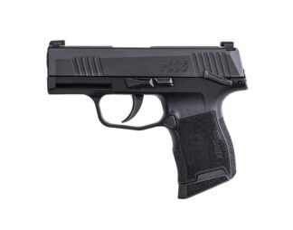 P365 380 ACP 3.1" Blk MS (2) 10-rd *MA