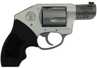 Coyote Off Duty .380 ACP 2" Fixed SS 5rd
