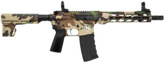 Hi-Point HP15P-556M81 HP 15P 5.56 NATO 30+1 10.50" Black Threaded Barrel, M81 Woodland Camo Aluminum Receiver w/Picatinny Rail, M-LOK Handguard, Blade Polymer Brace, Black B5 P Type 23 Grip
