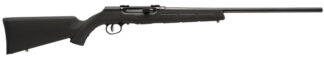 A17 17HMR 22" Black Syn 10rd-Clip 10rd