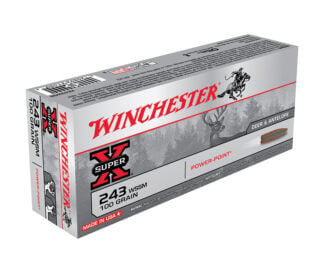 Super-X 243 WSSM 100gr PP 20/bx
