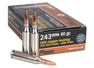 ELITE HUNTING 243W 80GR COPPER 20RDS/BX