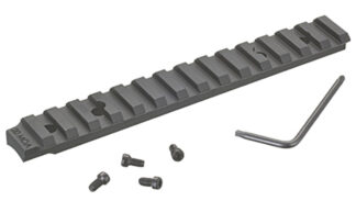 Scope Base American Rifle 20 MOA