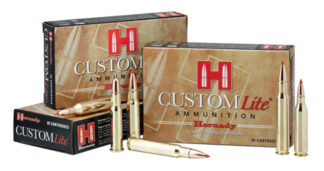Custom Lite 243 Win 87 Gr SST 20bx