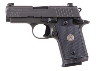 P938 Legion 9MM 3" Grey NS/Xray 7rd