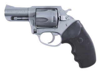 Char BullDog 44Spl 2.5" SS/FS 5rd