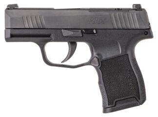 P365 Nitron 380AUTO 3.1" NS 10rd