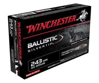 BallisticST 243 WIN 55gr 20/bx
