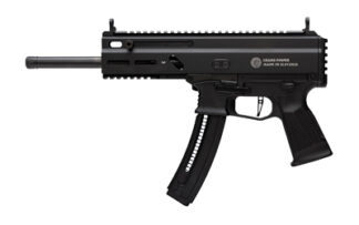 GPWR STRIBOG TR22 .22LR 10" 25RD BLK