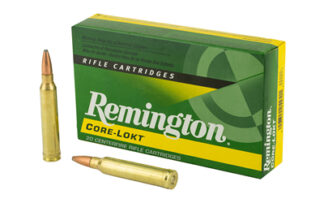 REM 300WIN 150GR PSP CL 20/200
