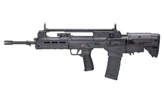 SPRGFLD HELLION 556 20" 30RD BLK