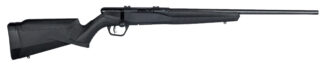 SAV B17F 17HMR BA RFL 10RD