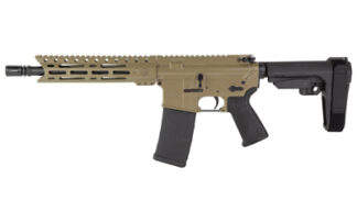 DBF DB15 556 10" MLOK 30RD FDE BRACE