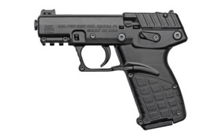 KelTec P17 .22 LR Semi-Auto Pistol - 3.8" Barrel, 16 Round Capacity