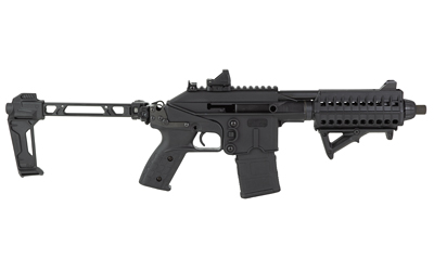 Close-up of PLR-16 adjustable iron sights