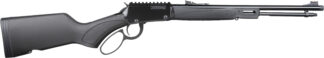 HEN X MODEL LVR 22LR