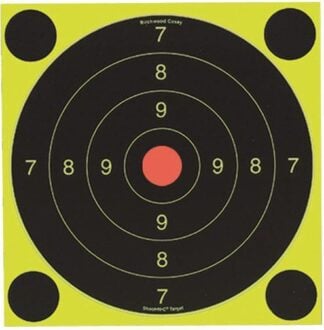 Birchwood Casey Shoot-N-C International Target