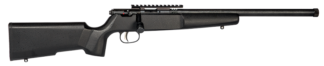 SAVAGE ARMS RASCAL TARGET 22LR CMPT BLACK