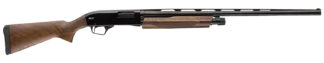 Winchester Repeating Arms 512451391 SXP High Grade Field 12 Gauge 3" Chamber 4+1 (2.75") 26", Gloss Blued Barrel/Rec, High Grade Turkish Walnut Furniture, TruGlo Fiber Optic Sight