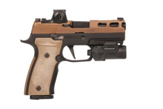 SIG SAUER P320 AXG 2TONE 3.9" FXTR 21+1#