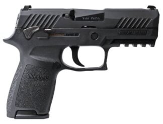 SIG SAUER P320 CMPCT 9MM NIT 15+1 SFTY #