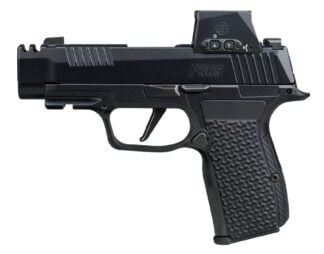SIG SAUER P365 AXG LUXE 380ACP 12+1 ROMX
