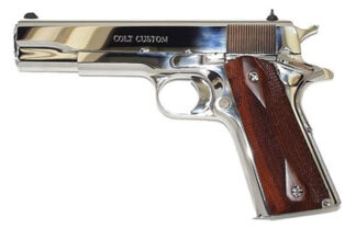 Government 45ACP 5" Bright SS FXD 7rd