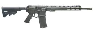 ATI ALPHA MAXX RIA 300- BLK 16"TB 13"MLOK 30rd