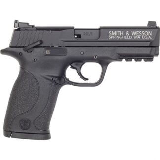 M&P22 COMPACT 22 LR 3.6â BBL (2)10RD MAGS BLACK