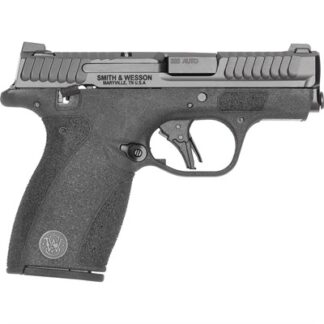 BODYGUARD 2.0 380 ACP 2.75''BBL (2)10RD MAG TS CA COMPL