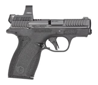 S&W BODYGRD 2.0    14786 380 2.75    RFX1   10/12R