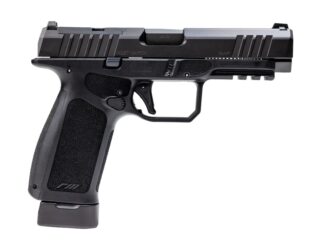 ROST MARTIN RM1F 9MM 10+1 BLK 4.5"OR FS CA