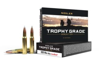 NOSLER Trophy 308Win 165gr ABSP 20rd