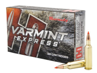 Varmint Exp 224 Val 60 Gr VMax 20bx
