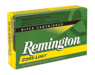 338 Win Mag 250 Gr PSP
