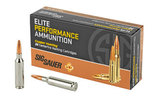 ELITE HUNTING 6mm Creedmoor 80GR 20RDS/BX