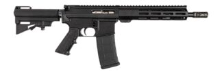 Dpms Panther Arms DP51655231683 DP-15 Shortacle 300 AAC Blackout 30+1 10.50" Black Nitride Threaded Barrel, Black Hardcoat Anodize Aluminum Receiver w/Picatinny Rail. M-LOK Handguard, Black Polymer Ad