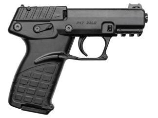 P17 22LR 3.93" Black 16rd