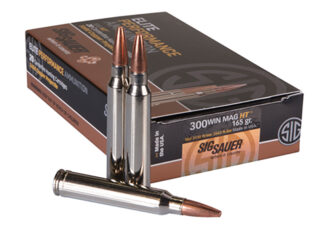 ELITE HUNTING 300WM 165GR 20RDS/BX