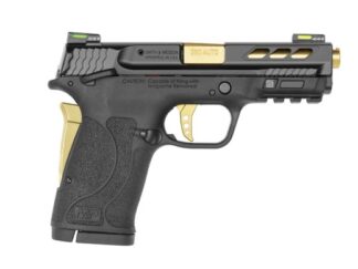 PC M&P Shield EZ 2.0 380acp 3.8" GLD 8rd